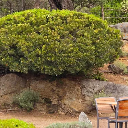 Cala Di L'oru 3* LʼÎle-Rousse