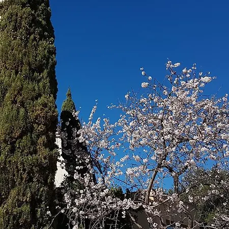 Cala Di L'oru ホテル 3*