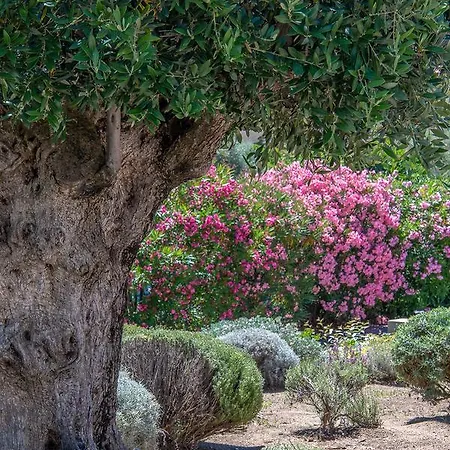 ホテル Cala Di L'oru 3*