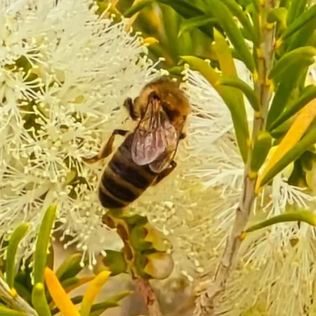 Hotel Cala Di L'oru LʼÎle-Rousse