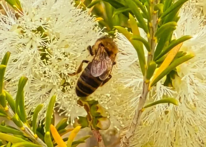 Hotel Cala Di L'oru LʼÎle-Rousse