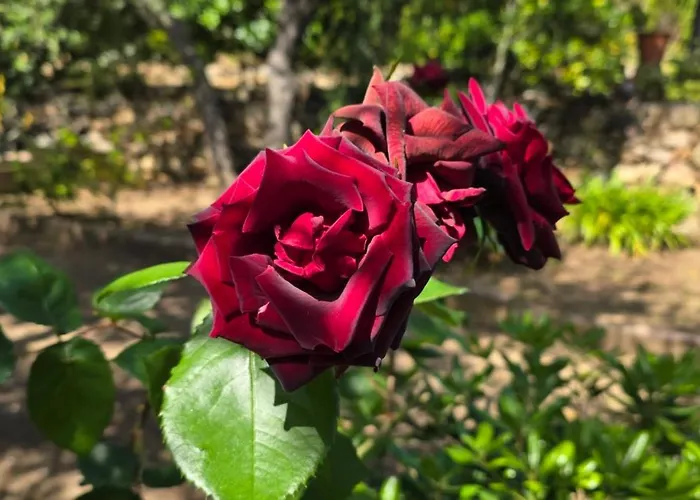 Cala Di L'oru Hotel 3*