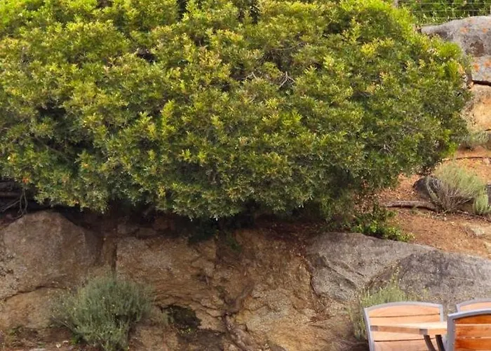 Cala Di L'oru 3* LʼÎle-Rousse