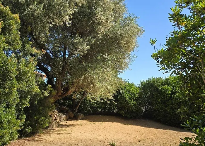 Otel Cala Di L'oru