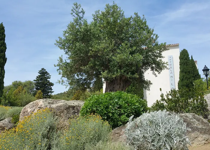 Cala Di L'oru L'Ile-Rousse (Corsica)