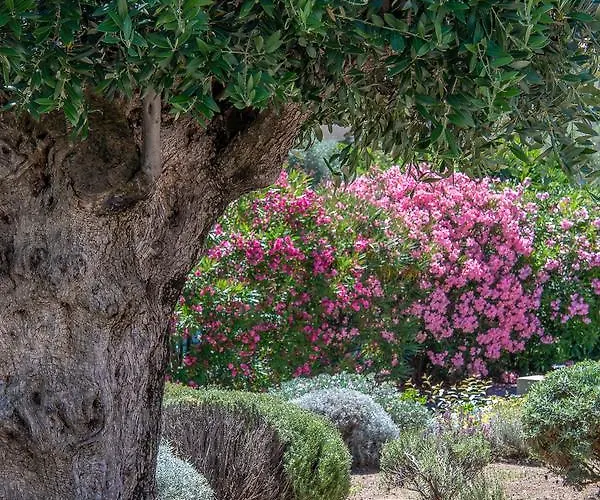 Hotel Cala Di L'oru 3*